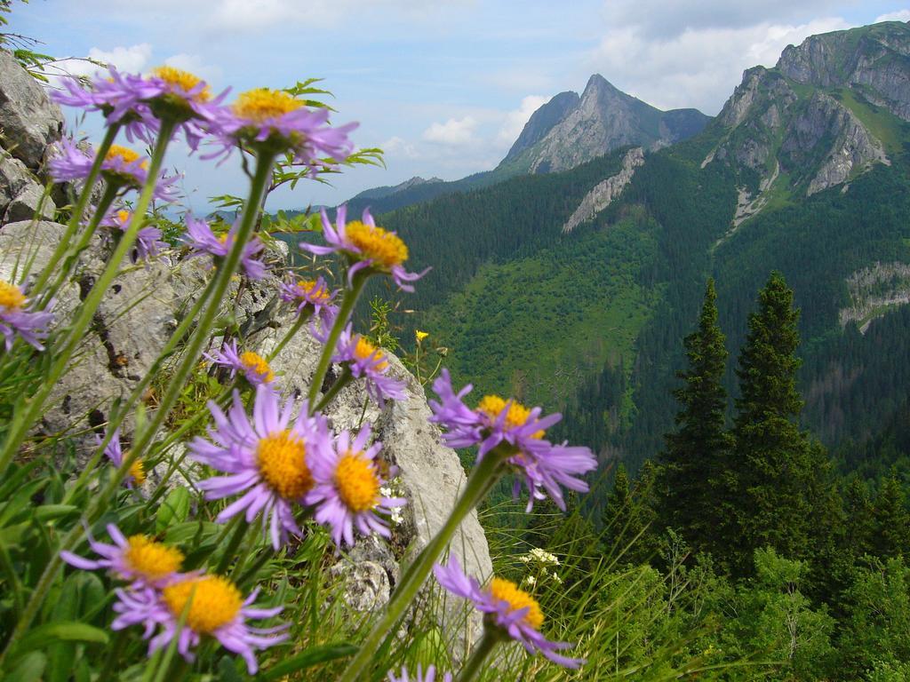 Legenda Tatr Apartment Zakopane Luaran gambar
